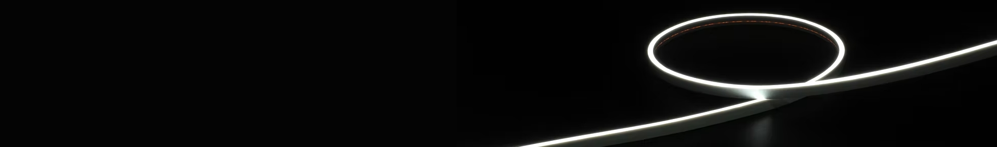 LED Neon Flex